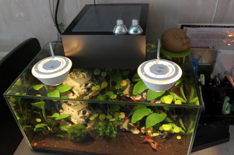 ����� ��� Hagen Fluval EDGE. ������ ������� �������.